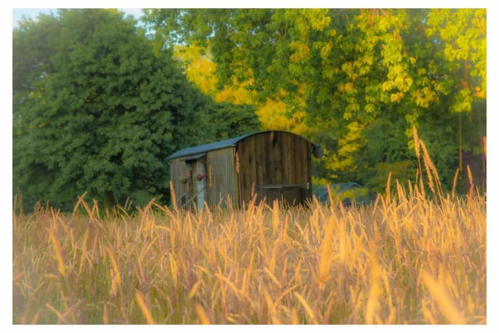 Mountbatten Shepherds Hut & Buckhurst Shepherds Hut Ashford  Exterior foto