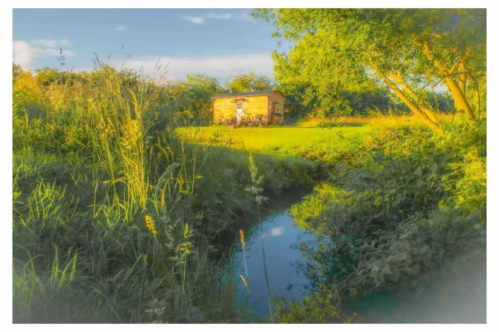 Mountbatten Shepherds Hut & Buckhurst Shepherds Hut Ashford  Exterior foto