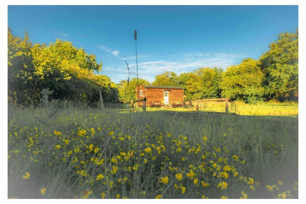 Mountbatten Shepherds Hut & Buckhurst Shepherds Hut Ashford  Exterior foto