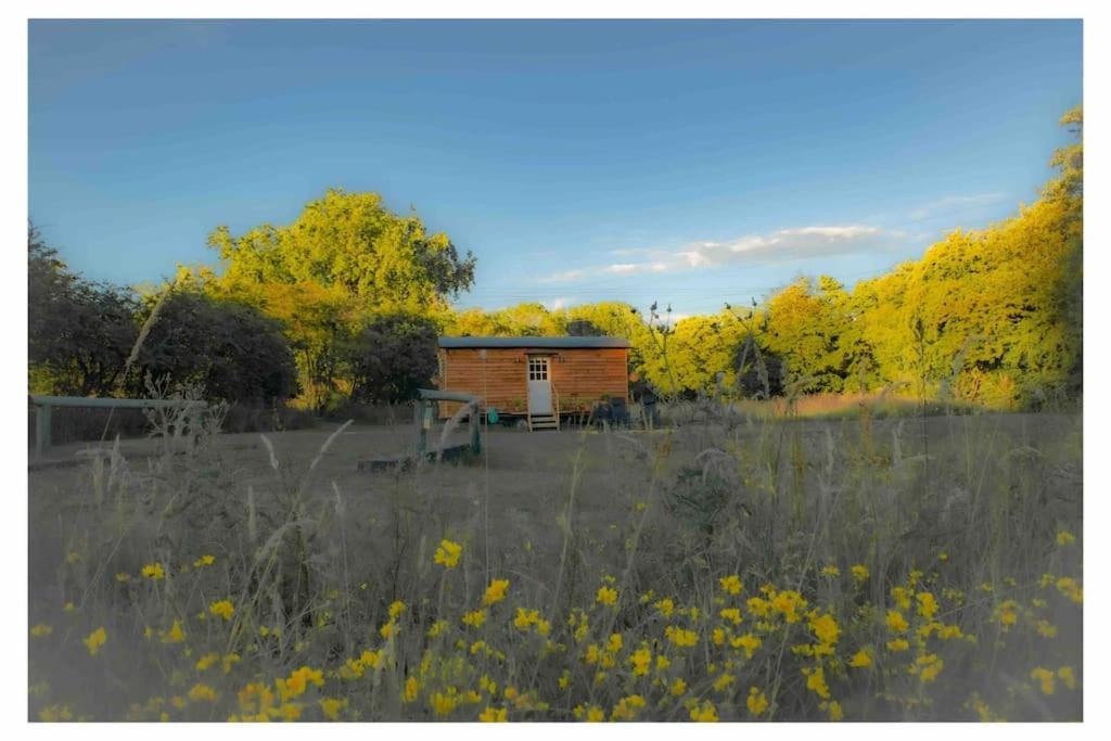 Mountbatten Shepherds Hut & Buckhurst Shepherds Hut Ashford  Exterior foto