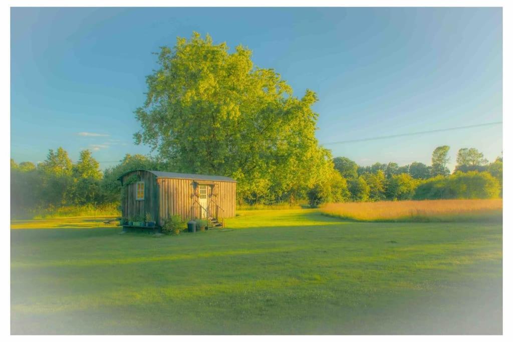 Mountbatten Shepherds Hut & Buckhurst Shepherds Hut Ashford  Exterior foto