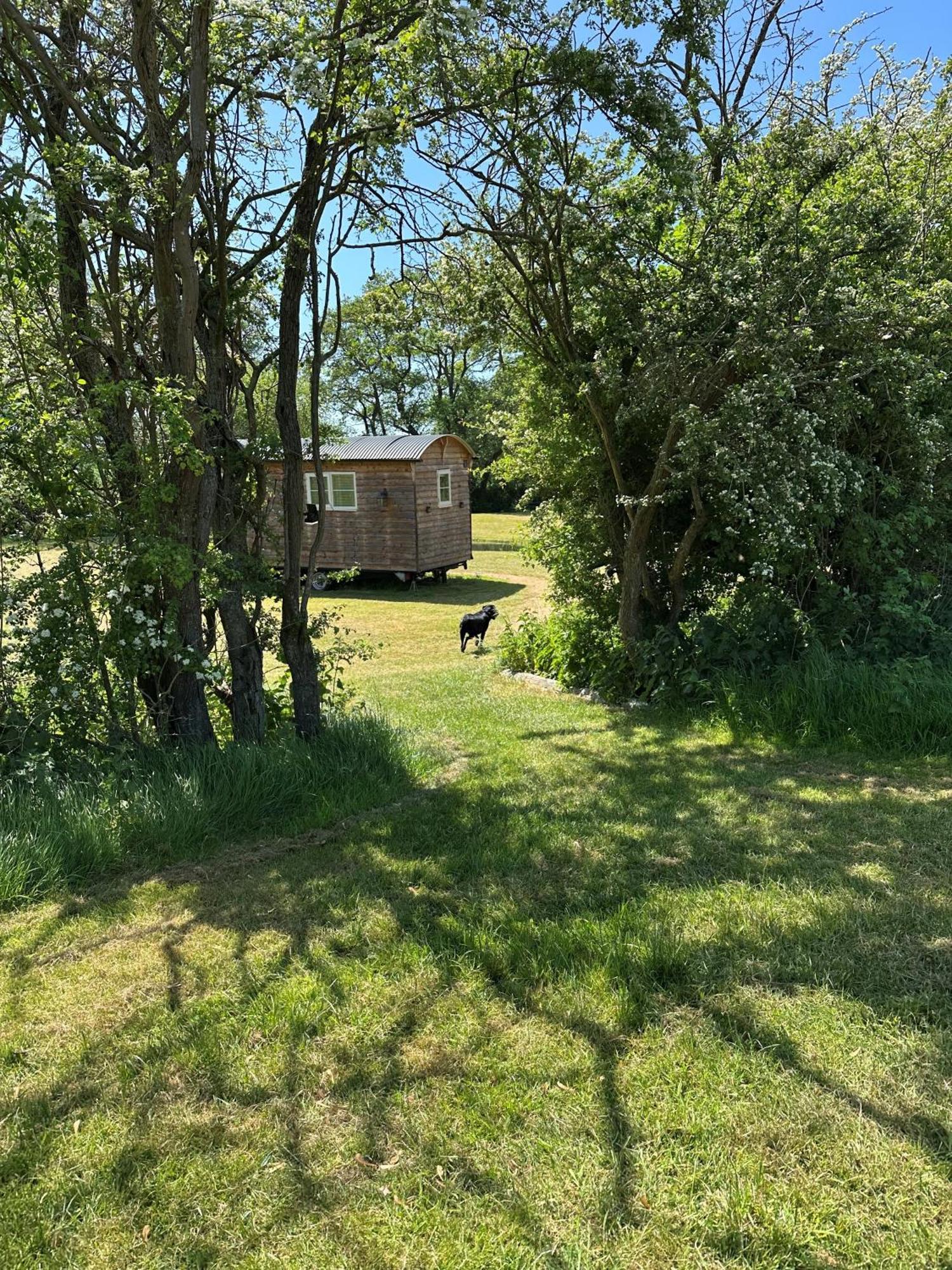 Mountbatten Shepherds Hut & Buckhurst Shepherds Hut Ashford  Exterior foto