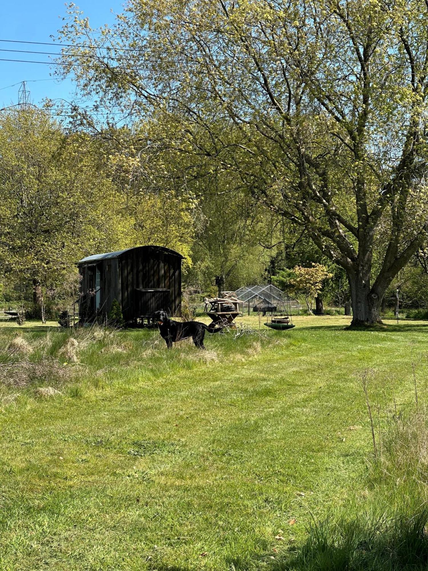 Mountbatten Shepherds Hut & Buckhurst Shepherds Hut Ashford  Exterior foto